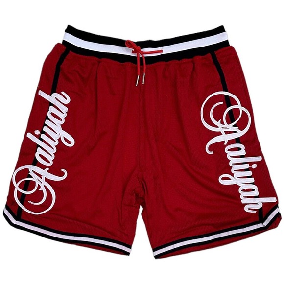 Aaliyah Men's Headgear Classics Premium Embroidered Logo Mesh Basketball Shorts